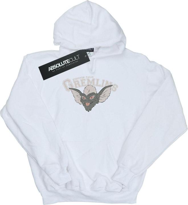Image du produit Universal Textiles - Sweat à capuche KINGSTON FALLS SPORT - Femme (XL)
