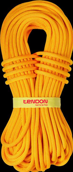 Produktbild Tendon Kletterseil BLACK SMART 100 (80 m)