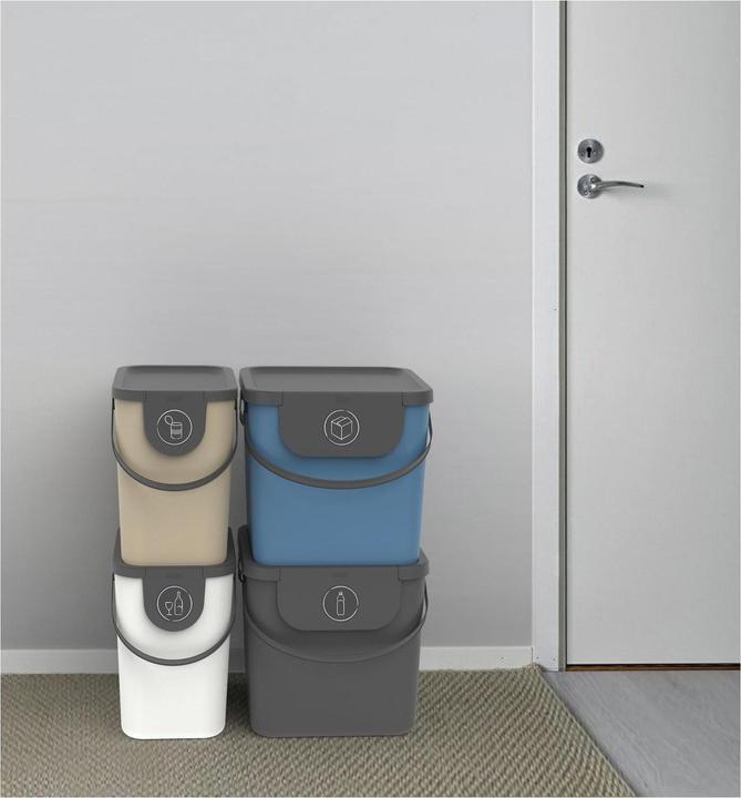 Immagine prodotto Rotho Bidone per il riciclaggio Albula 40 l, blu (40 l)