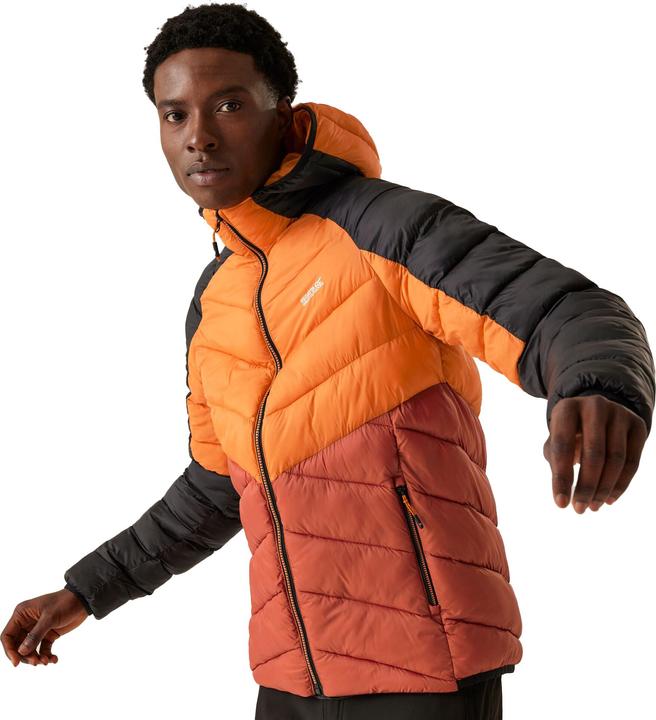 Produktbild Regatta Dalent IsolierJacke mit Kapuze (XL)