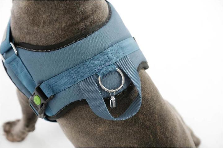 Produktbild Kerbl Hundegeschirr Maestro 20 (Hund, Hundesport)