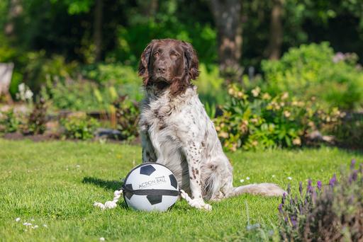 Immagine prodotto Beeztees Calcio D'Azione Bz Con Tau 22c (Palla giocattolo per cani)