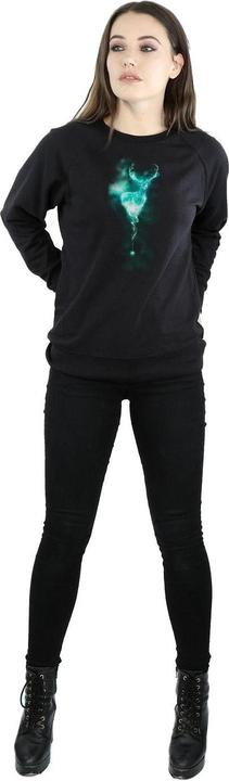 Produktbild Sweatshirt (S)