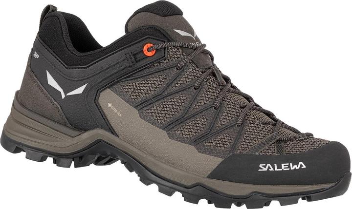 Actual product image Salewa Mountain Trainer Lite GORE-TEX (47)