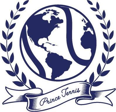 Actual product image Prince Unisex Adult Global Hoodie (M)