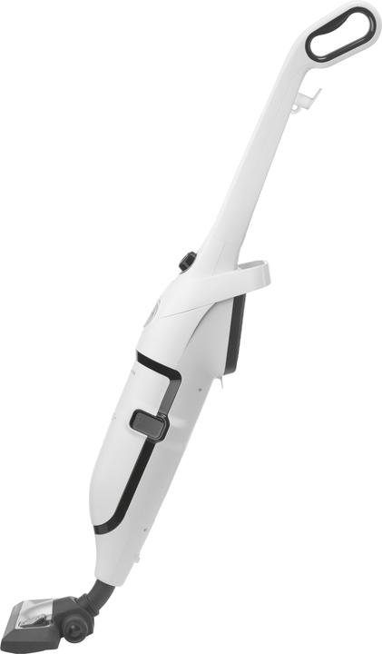 Actual product image Rowenta RH8037 Powerline Extreme
