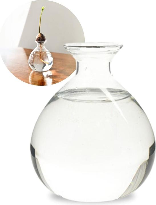 Produktbild Hermex Avocadobaum-Glas Avocado-Vase Hydrokultur-Vase Hyazinthenglas (10 cm)