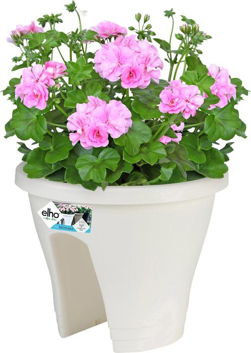 Actual product image Elho corsica (29 cm)