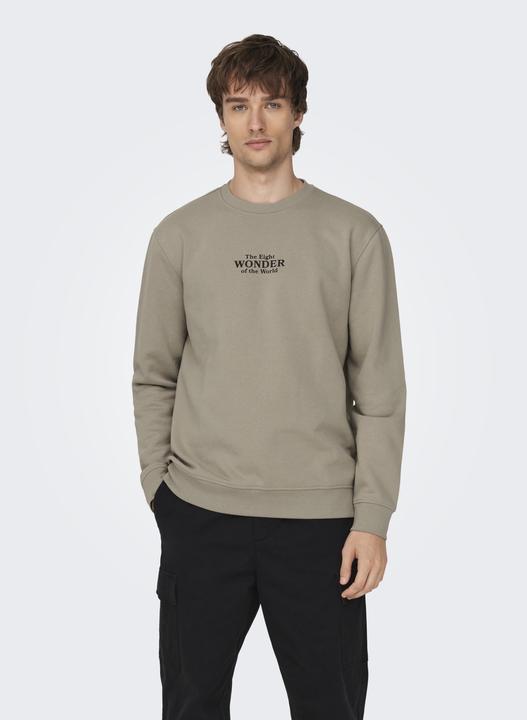 Immagine prodotto Only & Sons Felpa Onscelebrity Reg Crew Neck Swt (XXL)