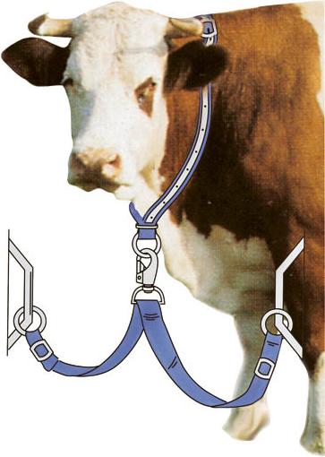 Actual product image Kerbl Chain binding for cows, cattle and young animals, made of Trevira