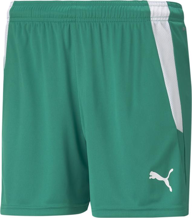 Actual product image Puma teamLIGA Shorts W-704936 (M)