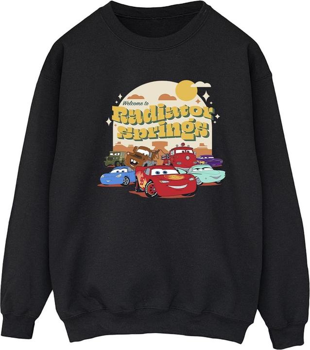 Disney Cars Radiator Springs Group Sweatshirt (L)