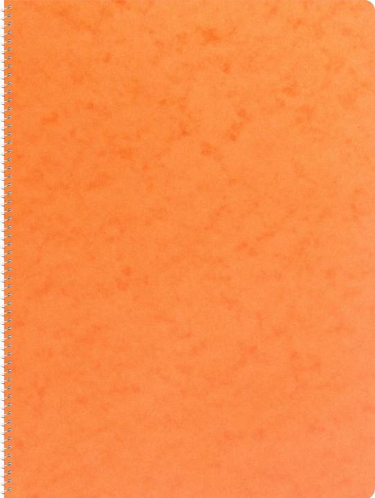 Actual product image Novooo Spiralheft assortiert (A4, Lined)