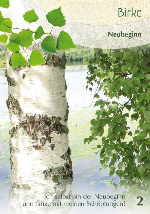 Image du produit Berk Arbres compagnons - cartes oracle
