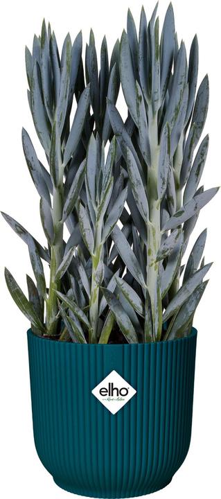 Image du produit Elho Pliage des vibrations (16 cm)