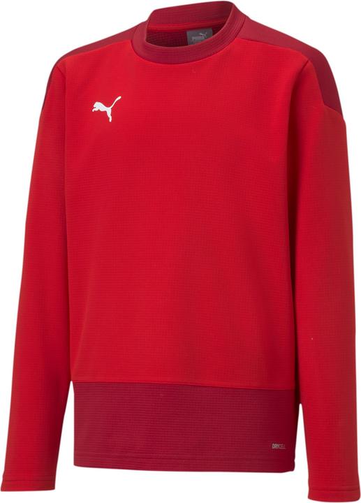 Puma teamGOAL 23 TRG Sweat Jr-656568