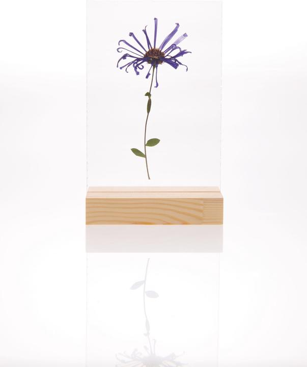 Actual product image Rico Design Wooden stand with double acrylic disc, 13 x 18 cm (13 x 18 cm)
