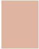 Immagine prodotto Bourjois Sempre favoloso 24H (300 Rose Sand)