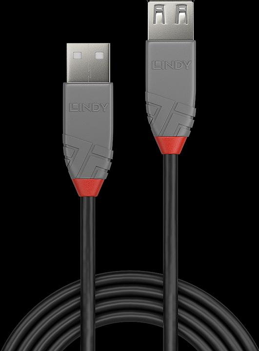 Immagine prodotto Lindy Estensione USB (0.20 m, USB 2.0)