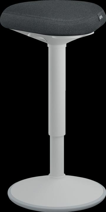 Actual product image Leitz Ergo Active