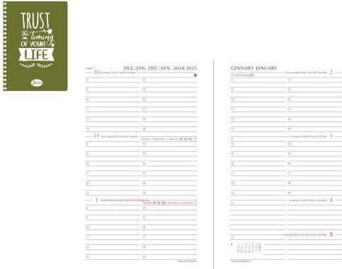 Immagine prodotto Agenda Pastello Verde Svizzero 8x12 (8 x 12,5 cm, Svizzero-tedesco)