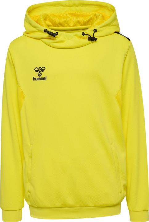 hummel Hmlauthentic Pl Hoodie Kids