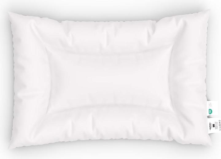 Immagine prodotto Lotus Bettwaren Cuscino in microfibra (40 x 60 cm)