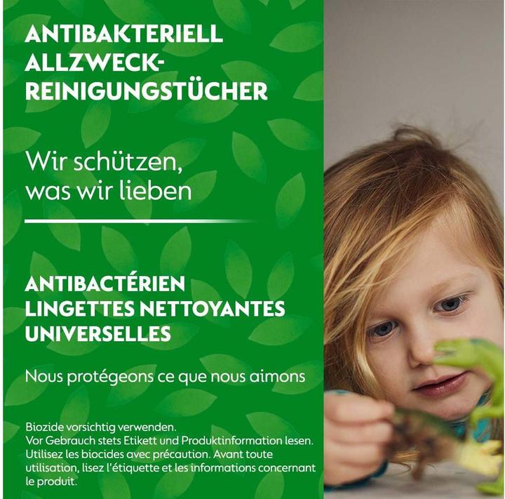 Immagine prodotto Dettol Scopo generale
