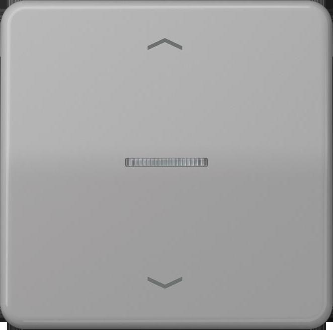 Actual product image JUNG BTCD17101PGR HOME Push-button 1gang