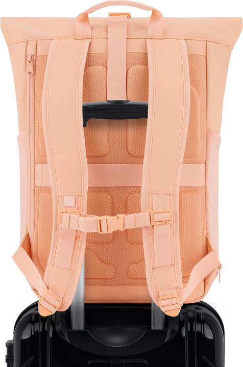 Image du produit Johnny Urban Sac à dos Allen Large (22 l)