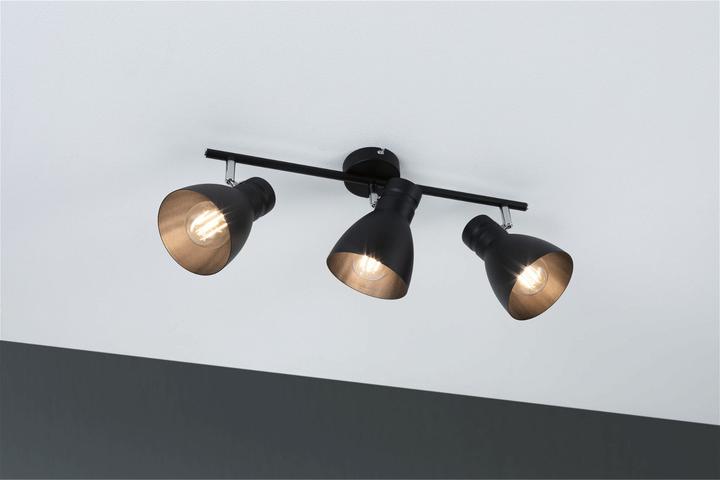 Actual product image Paulmann Davy (E27)