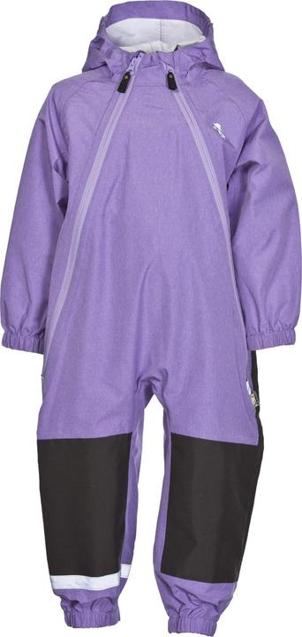 Paisley Purple