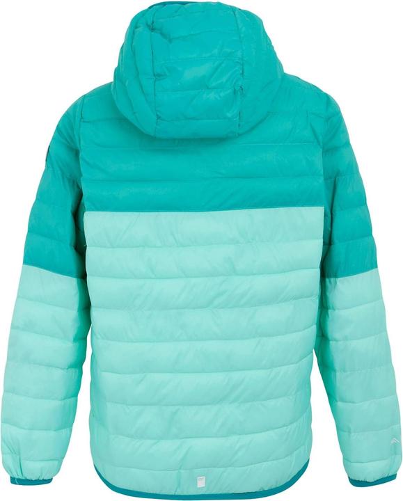 Actual product image Regatta Childrens/Kids Hillpack III Hooded Jacket (170, 176)
