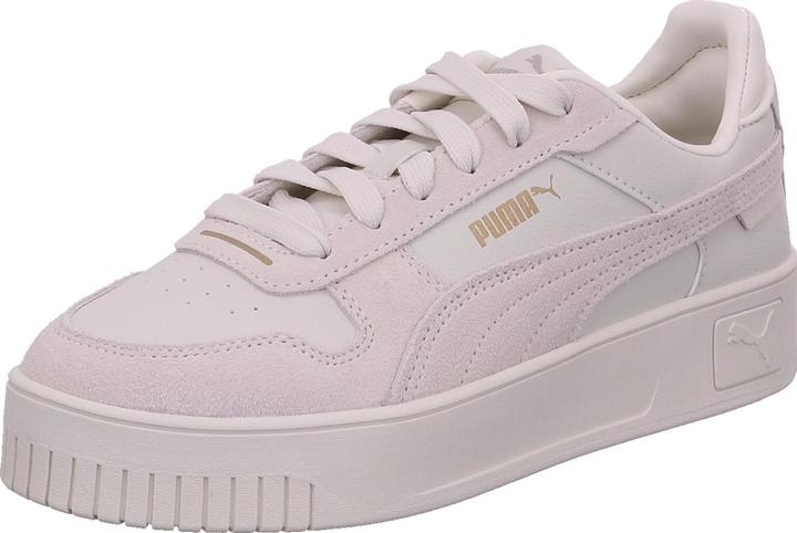 Puma Carina Street SD (42)
