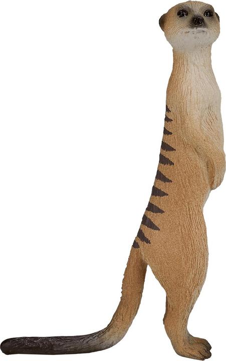 Actual product image Animal Planet Meerkat