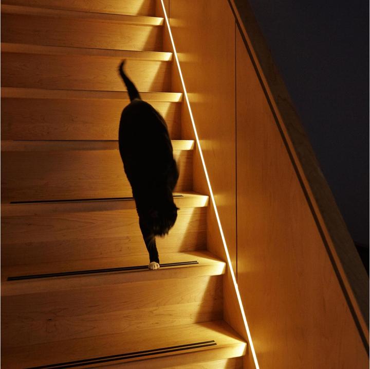 Image du produit Innr Smart Flex strip FL 140 C (Blanc chaud, Blanc neutre, Blanc froid, RGBW, 400 cm, Intérieur)