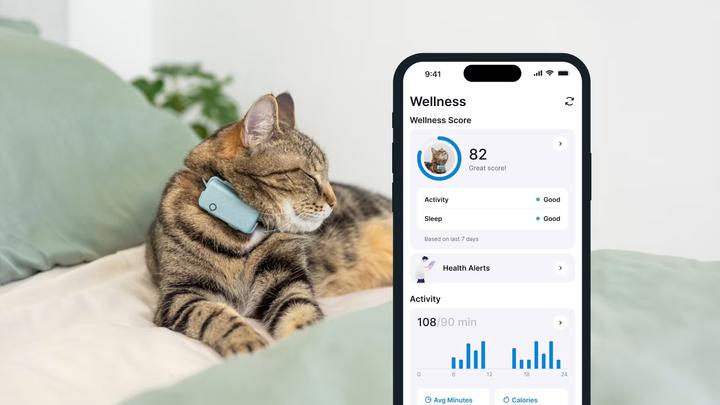Productafbeelding Tractive GPS CAT Mini - mint (Eén maat voor iedereen, Kat, Algemeen)