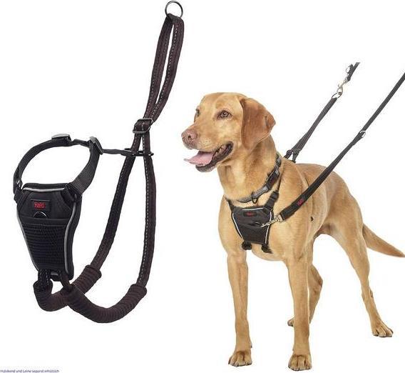 Actual product image Company of Animals Halti No Pull Antizug M Harness (M, Dog, Dog sport)