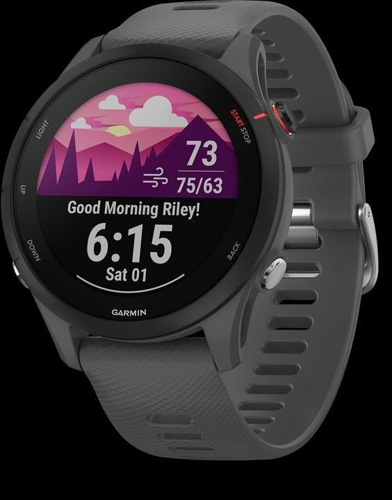 Garmin Forerunner 255 (46 mm)
