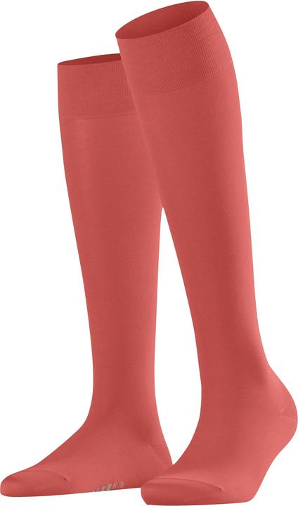 Actual product image Falke Knee socks (Single pack, 35 - 38)