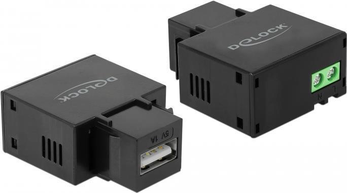 Delock Keystone module