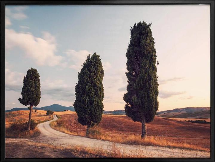 Actual product image Trenddeko Three cypresses along the way (30 x 24 cm)