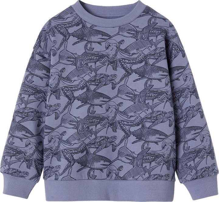 Image du produit Vertbaudet Sweat-shirt garçon en polyester recyclé (86)