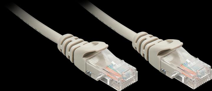 Actual product image Lindy Network cable (UTP, CAT5e, 1 m)
