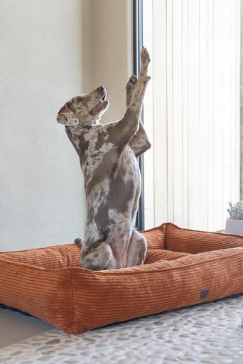 Actual product image Designed by Lotte Liegebett Ribbed (Dog)
