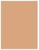 Immagine prodotto Shiseido Sport BB Fluid SPF50+ (Fluido medio)