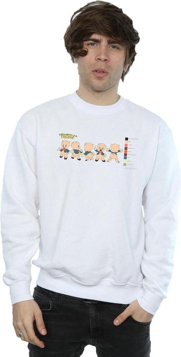 Produktbild Looney Tunes Porky Pig Colour Code Sweatshirt (M)