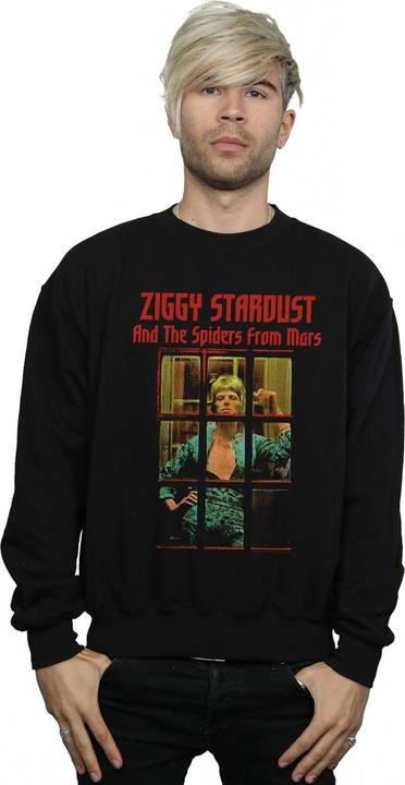 Image du produit David Bowie - Sweat ZIGGY STARDUST SPIDER - Homme (M)