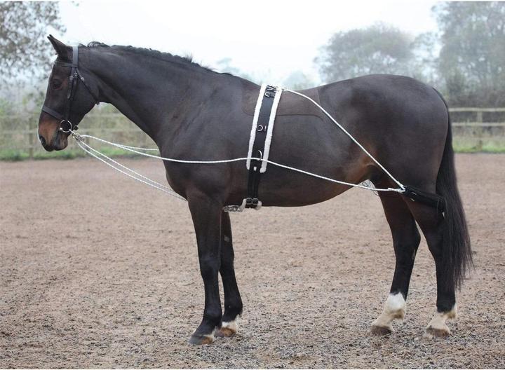 Produktbild Shires Longierhilfe