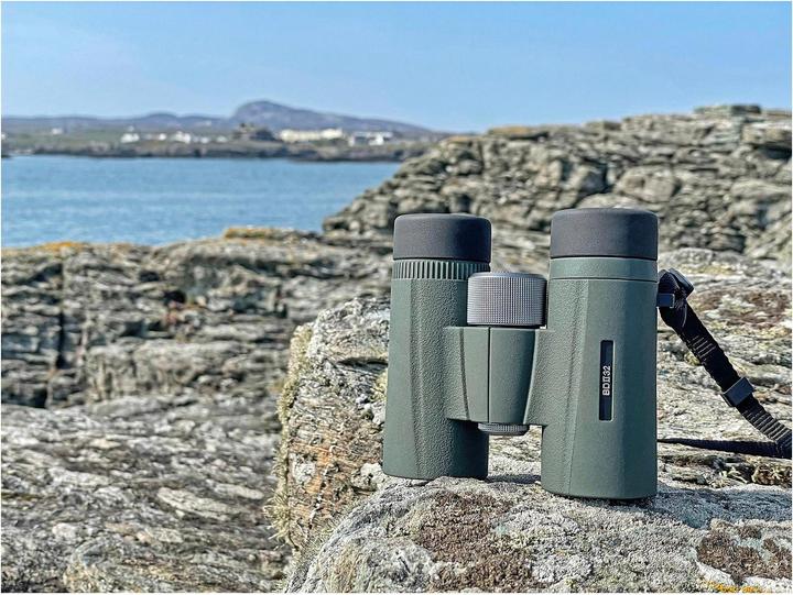 Actual product image Kowa BD II 10x32 XD (10 x, 32 mm)